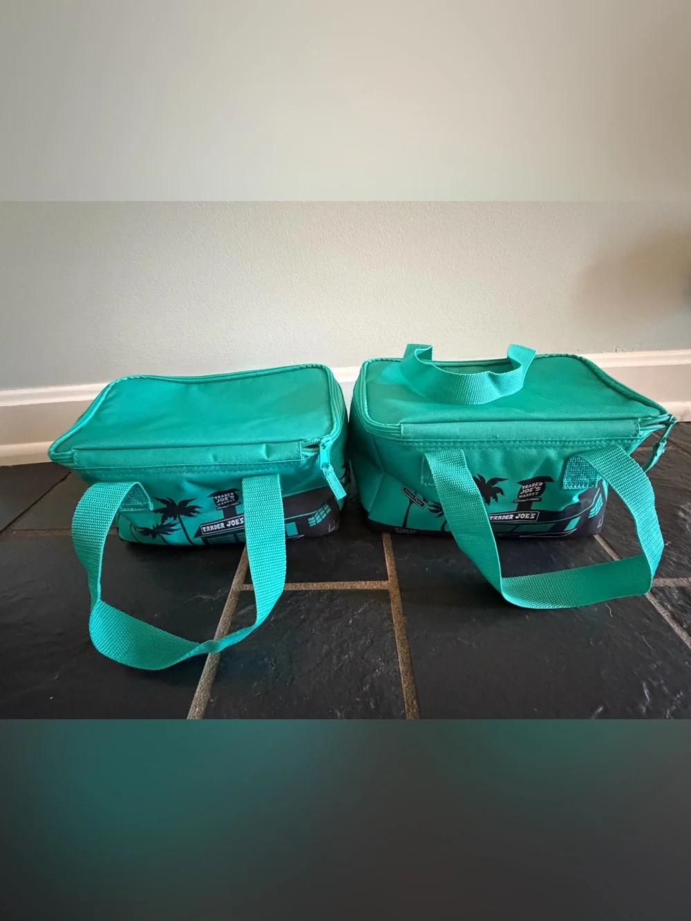 Trader Joe’s Insulated Lunch Totes- Reusable Cooler Bag.